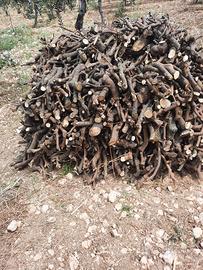 legna di arancio e di ulivo