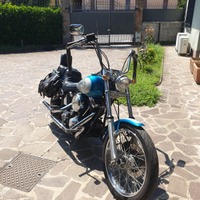 Harley davidson softail