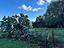 Immagine 30