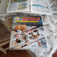 Raccolta pesca