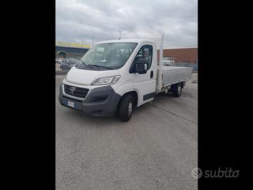 FIAT FIAT DUCATO CASSONE FISSO U19074