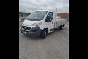 FIAT FIAT DUCATO CASSONE FISSO U19074