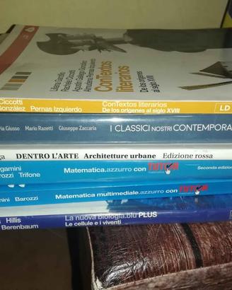 Libri scolastici liceo matematica arte italiano
