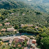 Cz, S.Elia, terr. agricolo pianeggiante ulivetato