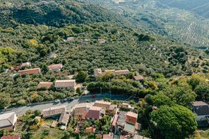 Cz, S.Elia, terr. agricolo pianeggiante ulivetato