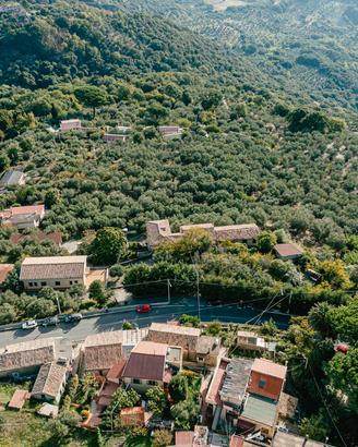 Cz, S.Elia, terr. agricolo pianeggiante ulivetato
