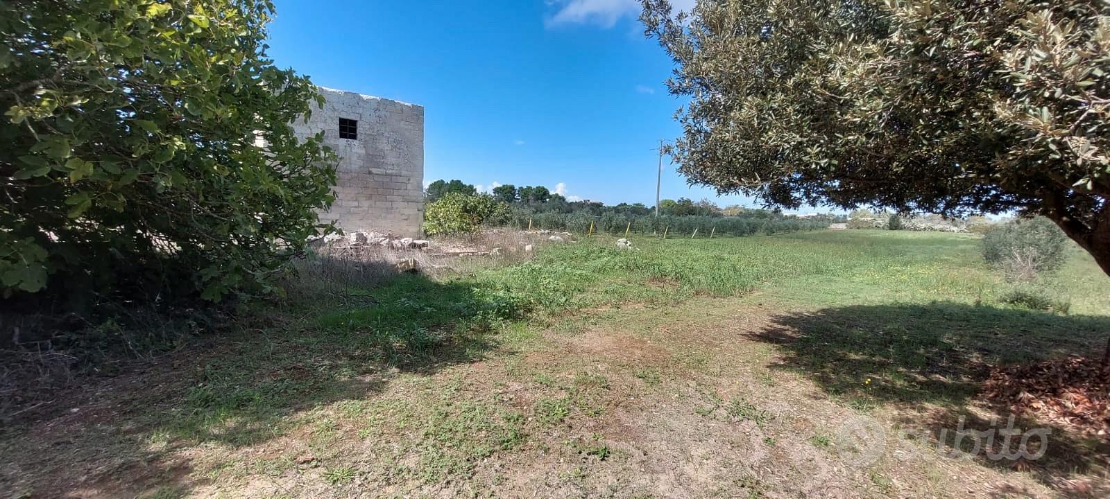 Ampio terreno con casolare - Altro