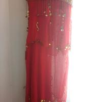 Costume odalisca Carnevale Halloween Danza del ven