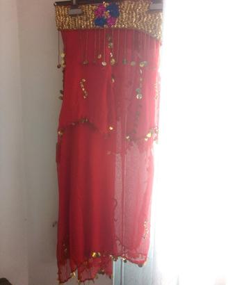 Costume odalisca Carnevale Halloween Danza del ven