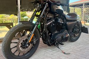 Harley Davidson Iron 883
