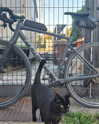 Focus Atlas 6.7 2023 bicicletta gravel
