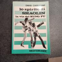 Lo Spirito di Shaolin - David Carradine - La Via d