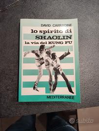 Lo Spirito di Shaolin - David Carradine - La Via d