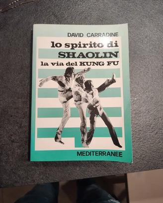 Lo Spirito di Shaolin - David Carradine - La Via d