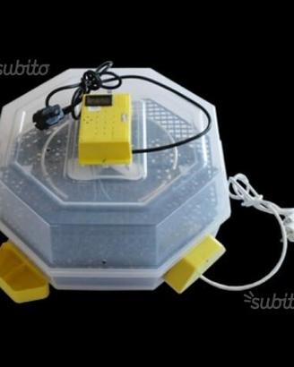 Incubatrici cleo nuove