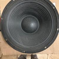 Woofer ciare professionale