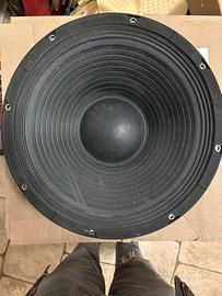 Woofer ciare professionale