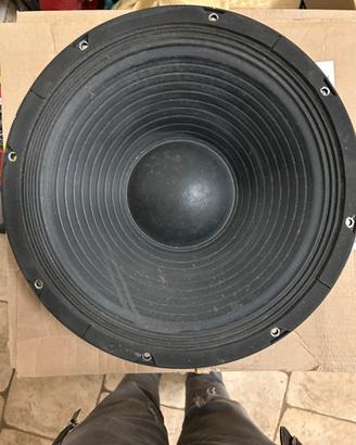 Woofer ciare professionale