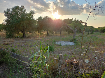 Oliveto a Solanas OR 3k mq
