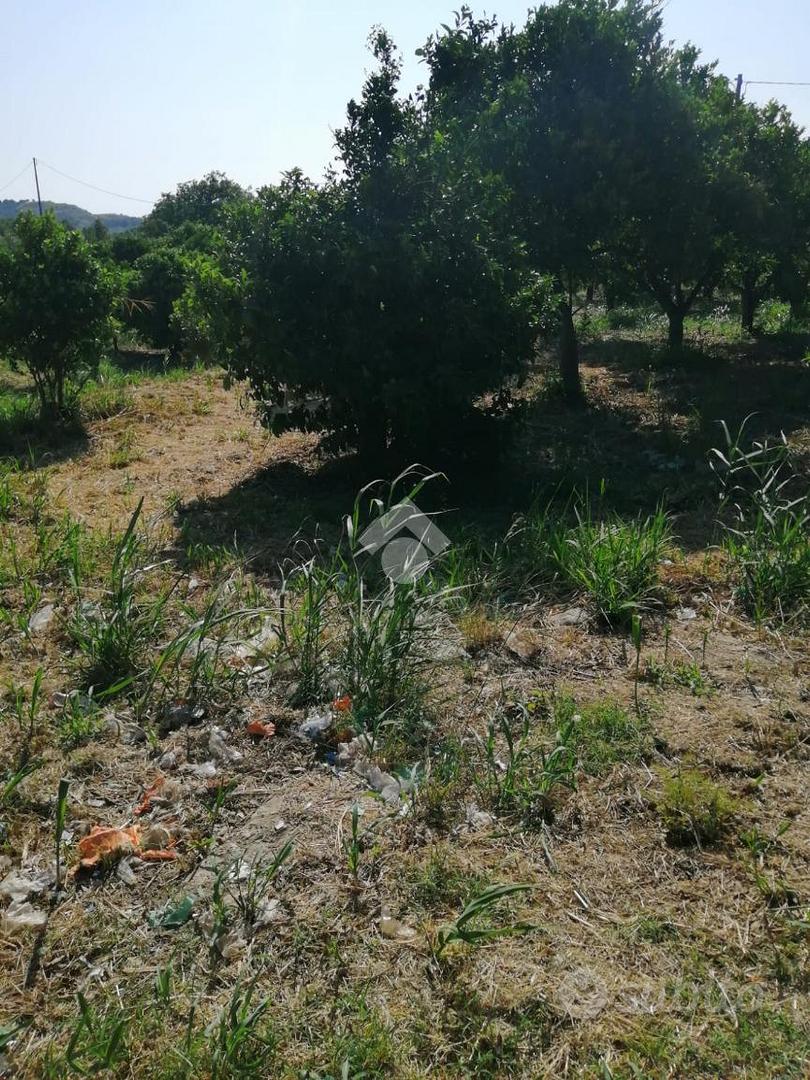 TER. AGRICOLO A SQUILLACE - Altro