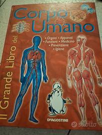 Il Grande Libro del Corpo Umano – De Agostini