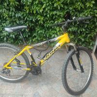 bicicletta ragazzo fino a 12 anni