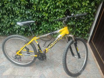 bicicletta ragazzo fino a 12 anni
