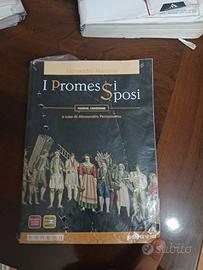 i promessi sposi 