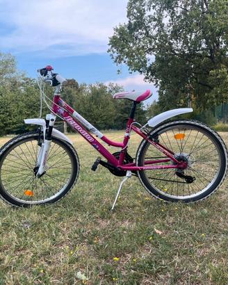 Mountain bike bambina  24