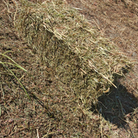 Ballette fieno di sulla