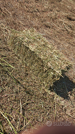 Ballette fieno di sulla