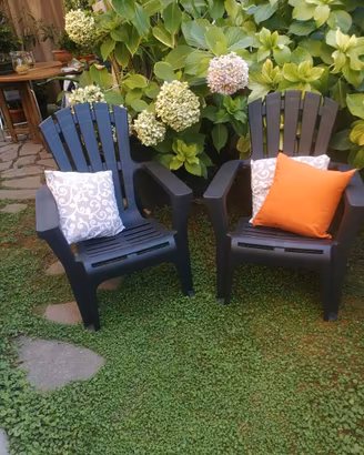 Bellissime poltrone da giardino