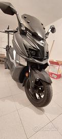 Sym Cruisym 300