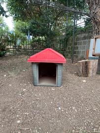 Cuccia cane