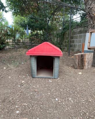 Cuccia cane