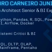 Data Engineer, Solution Architect, BI Consultant