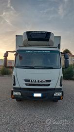 Eurocargo 100 E18 E5 cella frigo ATP con SPONDA id