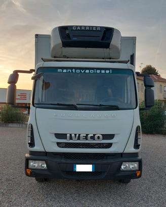 Eurocargo 100 E18 E5 cella frigo ATP con SPONDA id