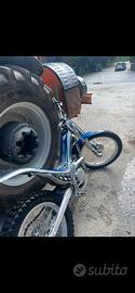 Sherco 290 targati