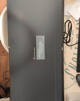 Monitor Dell U4919DW schermo rotto