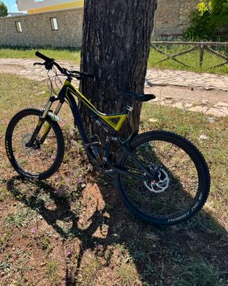 Specialized Stumpjumper