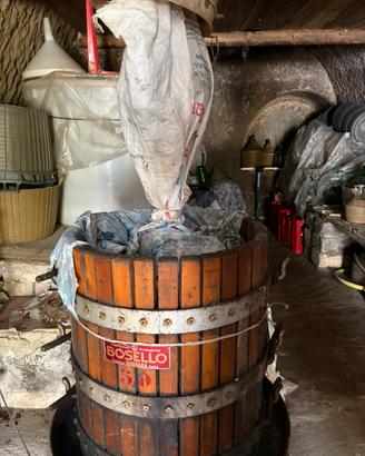 Torchio per vino Bosello