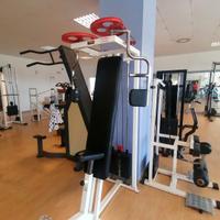 pectoral machine technogym