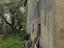 Immagine 29