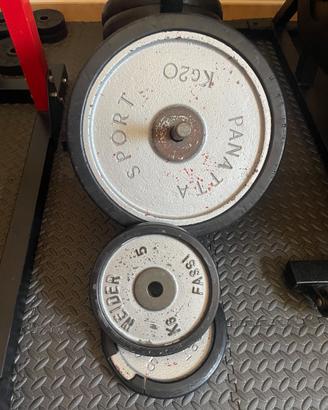 Dischi panatta 20-10-5 kg