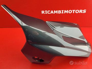 CARENA ANTERIORE SX BMW K1300R K 1300 SX