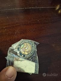 Spilla 'Truman's little White House'