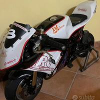 CICLISTICA MINIMOTO GRC RRZ