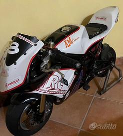 CICLISTICA MINIMOTO GRC RRZ