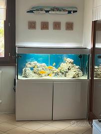 ACQUARIO 🐠